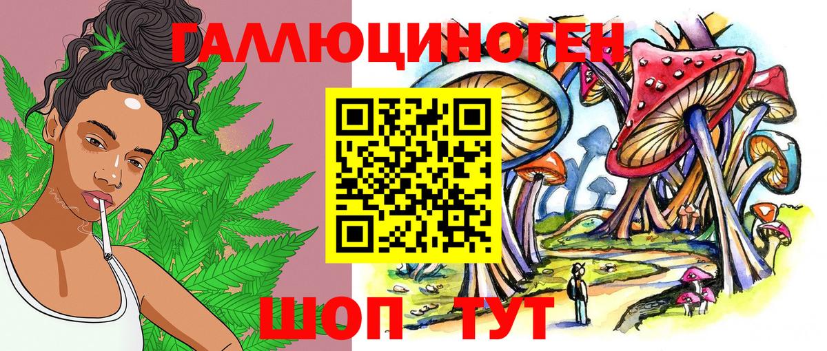 Семёнов  что такое   Вход с VPN  Галлюциногенные грибы Psilocybe 